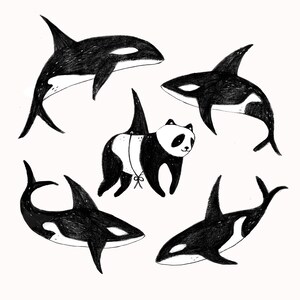 Carte de souhaits - « Le panda » / Baleines / Greeting cards / Stationery Bild 2