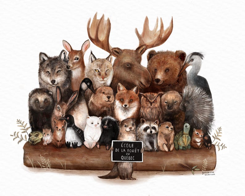 Carte de souhaits - La classe de la forêt Bild 2