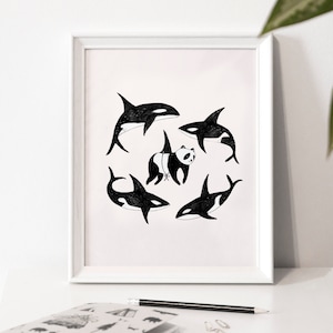 Affiche d'illustration « Le panda » / Print / Illustration / Artwork / Québec / Panda / Whales / Épaulards / Orque