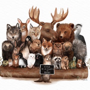Cartel de ilustración “Escuela Forestal de Quebec” / Impresión / Ilustración / Obra de arte / Quebec / Clase / Naturaleza imagen 2