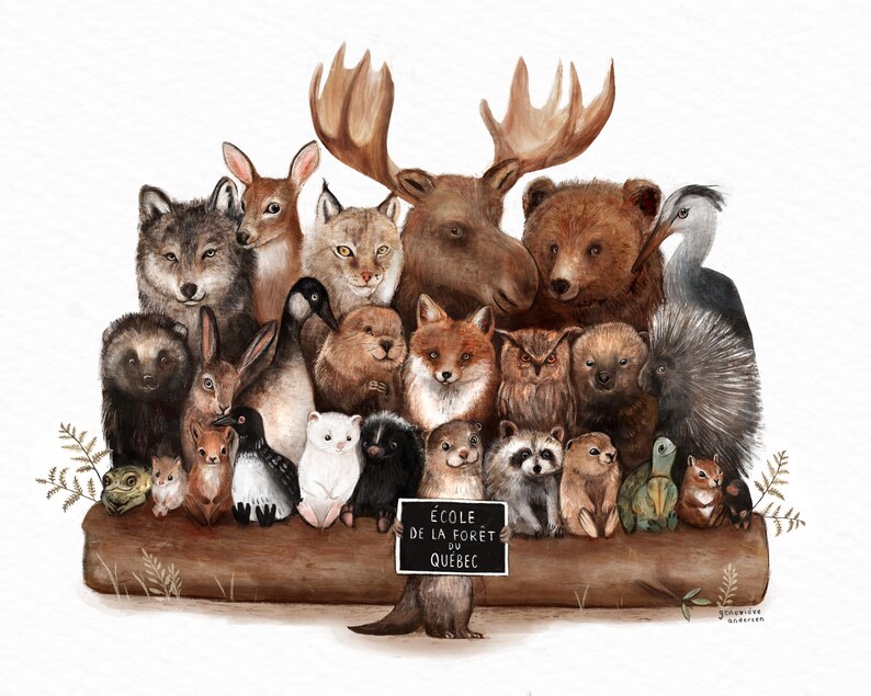 Cartel de ilustración “Escuela Forestal de Quebec” / Impresión / Ilustración / Obra de arte / Quebec / Clase / Naturaleza imagen 2
