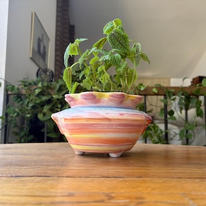 May include: A ceramic planter with a scalloped rim and three small feet, featuring horizontal brushstrokes in shades of orange, pink, yellow, and blue. A green plant with textured, veined leaves is potted inside the colourful, rounded vessel.