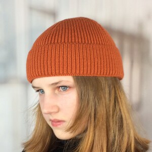 May include: A rust-colored, ribbed knit beanie. The hat is made of a soft, warm material and has a classic, folded brim. This beanie is a versatile accessory for cold weather and can be worn by anyone.