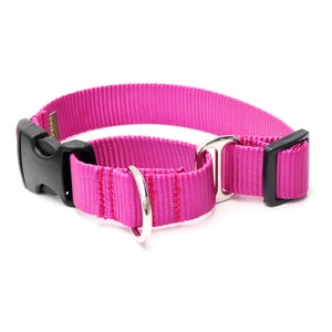 RASPBERRY PINK Nylon Martingale Dog Collar // Designer Webbing // No Slip Collar // 3 Buckle Choices!