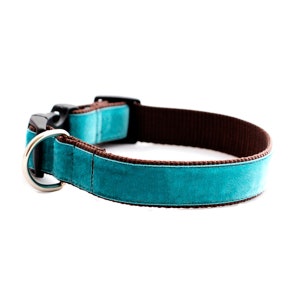 Teal Blue Dog Collar // 'Zack' Velvet Dog Collar // Silver and Gold Buckle Choices!
