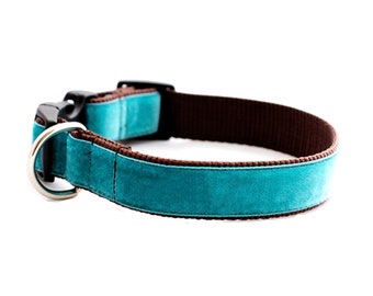 Teal Blue Dog Collar // 'Zack' Velvet Dog Collar // Silver and Gold Buckle Choices!