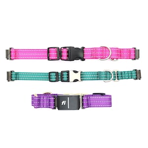Fi Compatible Reflective Martingale Dog Collar | Fi Nylon Martingale 11 colors | Side Release Buckle Martingale Fi Collar | Series 2 or 3/3+