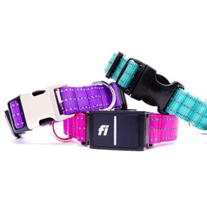Reflective Fi Compatible Dog Collar // Reflective Fi Collar // Reflective Fi Band // Side Release // 11 Colors // 3 Buckle Choices!