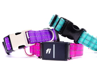 Reflective Fi Compatible Dog Collar: Nylon Webbing, USA Made, Series 3/3+