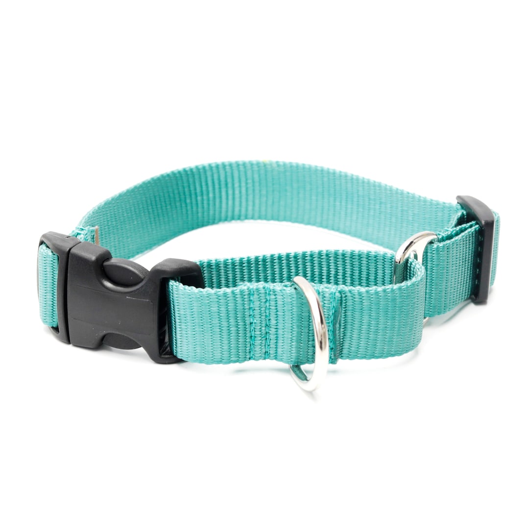 Teal Nylon Martingale Dog Collar // Designer bing // No Slip Collar