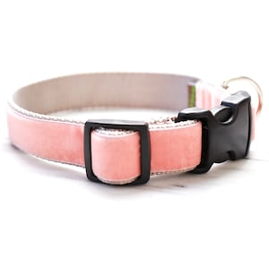 Coral Pink Dog Collar // 'Peaches' Velvet Dog Collar // Silver and Gold Buckle Choices!