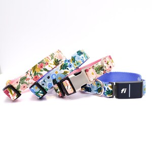 Op de afbeelding: Vier hondenhalsbanden met bloempatronen. De halsbanden hebben verschillende kleuren, waaronder roze, blauw en wit, met metalen gespen en zwarte Fi-trackers. De halsbanden zijn ontworpen voor huisdieren.