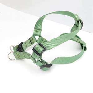 May include: A green dog harness with black buckles and a silver ring.
