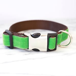 Kelly Green Dog Collar // 'Oscar' Velvet Dog Collar // Silver and Gold Buckle Choices!