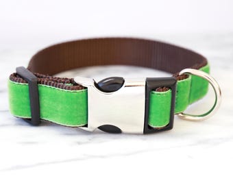 Kelly Green Velvet Dog Collar: 'Oscar' USA Made, Silver Buckle