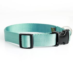 TEAL Nylon Hundehalsband // Designer Gurtband // mit 5 verschiedenen Schnallen!