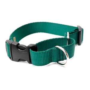 Forest Green Nylon Martingale Dog Collar // Designer Webbing // No Slip Collar // 3 Buckle Choices!