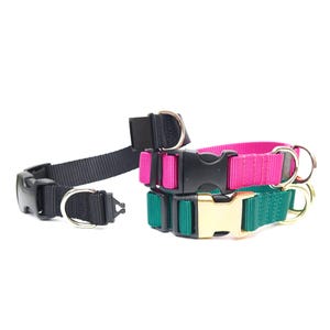 Colorful Breakaway Dog Collar: Safety Nylon with D-Rings, USA Made