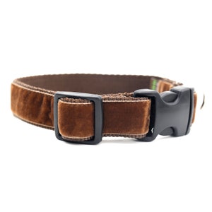 Chocolate Brown Holiday Dog Collar // 'Teddy' Velvet Dog Collar // Silver and Gold Buckle Choices!