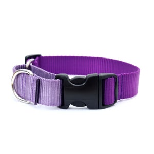 PURPLE with Grape Loop Martingale Dog Collar // Two Toned Dog Collar // No Slip Collar // 3 Buckle Choices!