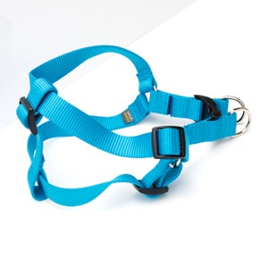PEACOCK BLUE Nylon Dog Harness // Step-In Style Blue Dog Harness // Bright Blue Harness // 5 Buckle Choices!