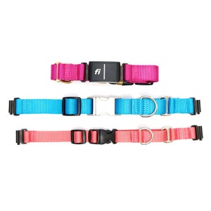 Fi Compatible Martingale Dog Collar | Fi Martingale - 27 colors  | Side Release Buckle Martingale Fi Collar Band | Series 2 or Series 3 / 3+