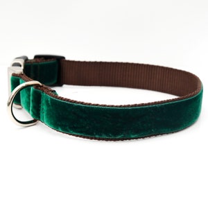Dark Green Holiday Dog Collar // &#39;Evergreen&#39; Velvet Dog Collar // Silver and Gold Buckle Choices!