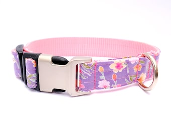 May include: A purple dog collar with a pink floral pattern and a silver buckle.