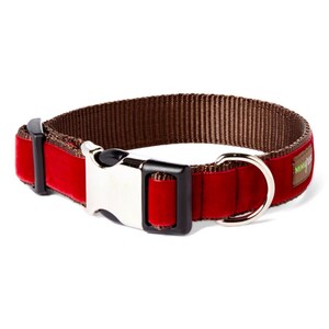 Red Holiday Dog Collar // 'Holly' Velvet Dog Collar // Silver and Gold Buckle Choices!
