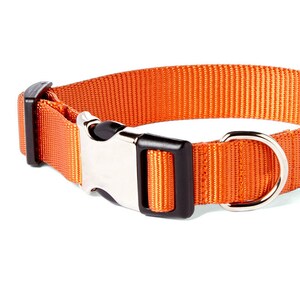 Pumpkin Orange Nylon Dog Collar // Designer Webbing // 5 Buckle Choices!