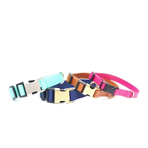 Waterproof Dog Collar // Sewn Biothane Dog Collar // 3 Buckle Choices! // Teal, Purple, Pink, Blue, Red, Black + Green