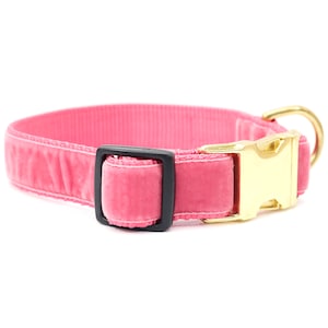 Rose Pink Velvet Dog Collar // 'Primrose' Velvet Dog Collar // Silver and Gold Buckle Choices!