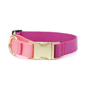 Peut inclure: Un collier pour chien rose et violet avec une boucle dorée. Le collier est fait de sangle en nylon et possède un fermoir sécurisé.