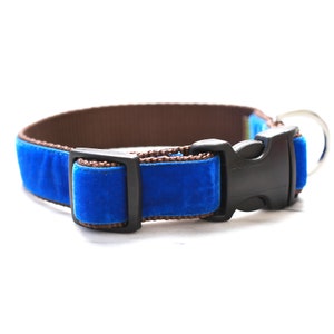 Royal Blue Dog Collar // 'Archie' Velvet Dog Collar // Silver and Gold Buckle Choices!