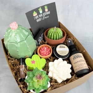 Birthday Gifts For Her, Succulent Gift Box, Plant Basket For Women, Hope Your Birthday Doesn't Succ, Spa Kits,Self Care Gift,Candle Gift Box image 1