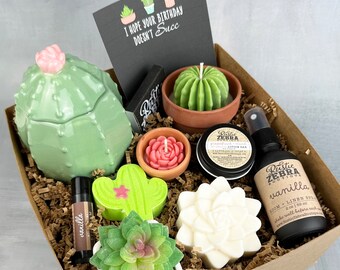Birthday Gifts For Her, Succulent Gift Box, Plant Basket For Women, Hope Your Birthday Doesn't Succ, Spa Kits,Self Care Gift,Candle Gift Box