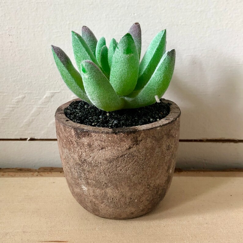 May include: A small, artificial succulent plant in a weathered, brown, round pot. The plant has light green, fleshy leaves with purple tips, and sits atop black soil. The pot has a rustic, textured appearance, adding a touch of natural decor.