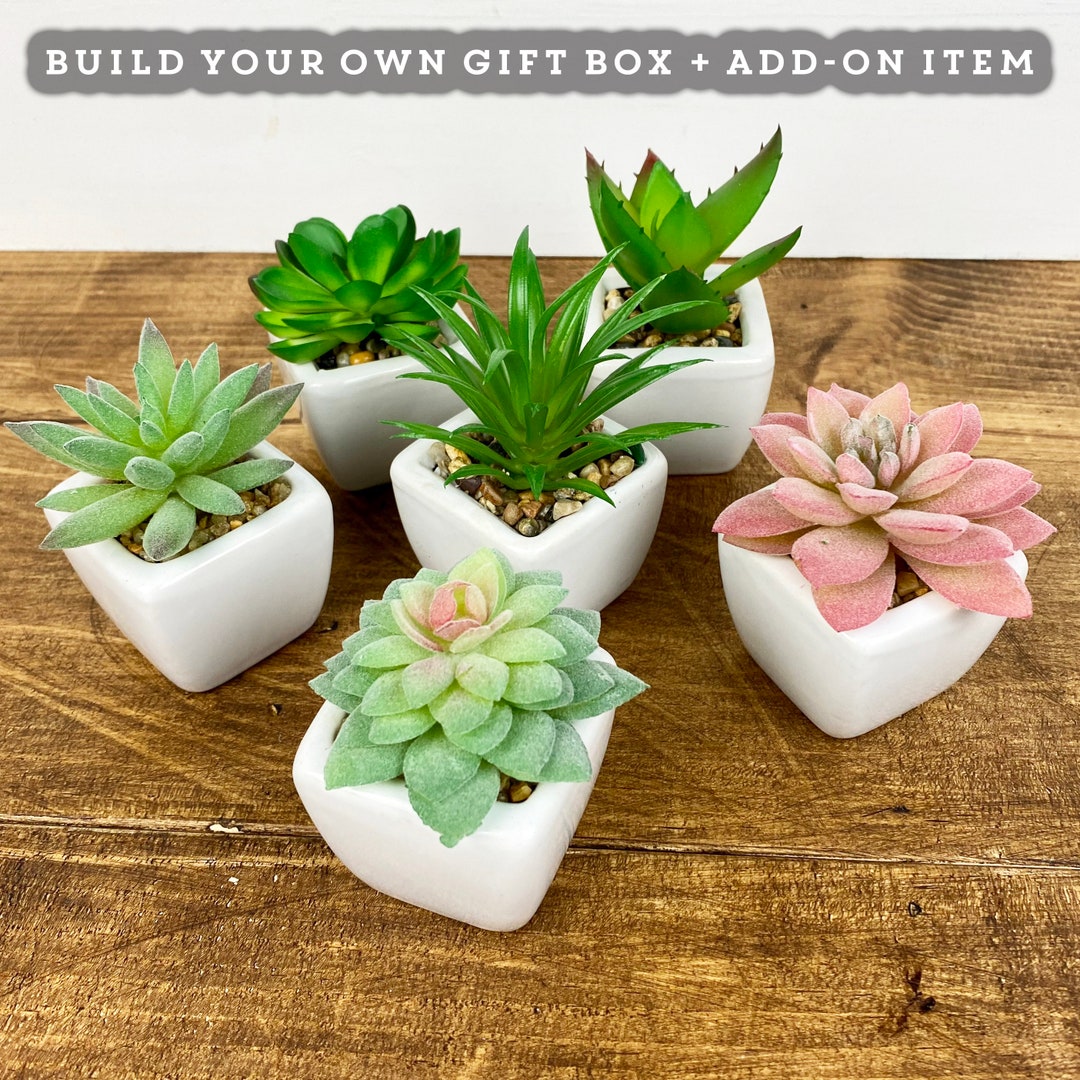 Make Your Own Gift Set, Succulent Gift Box, Care Package, Thinking of You Gift, Plant Gift Box