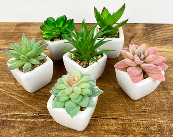May include: Six small white ceramic pots with different types of artificial succulents. The succulents are green, pink, and a mix of green and pink.