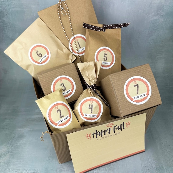 Fall Style Mystery Box, Cozy Fall Gift Box, Fall Gift Basket, Halloween Party, October Birthday Gift For Friend, Thanksgiving Gift Basket