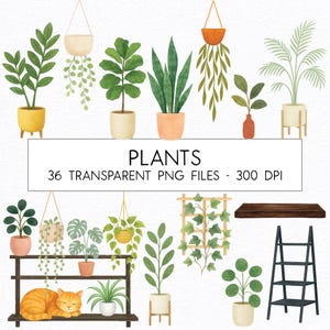 Pflanzen Clipart Bundle / Aquarell / PNG / Kommerzielle Nutzung / Kinderzimmer Clipart
