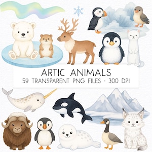Artic Animals Clipart Bundle / Watercolor / High Quality PNG / Commercial Use / Nursery Clipart
