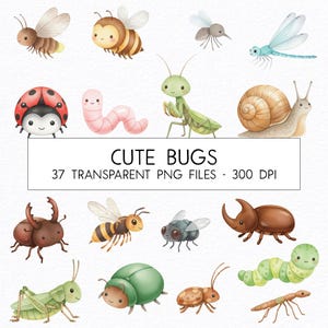 Puede incluir: Ilustraciones en acuarela de varios insectos lindos, incluyendo una mariquita, una abeja, un caracol y una libélula. La imagen incluye el texto "CUTE BUGS" y "37 TRANSPARENT PNG FILES - 300 DPI".