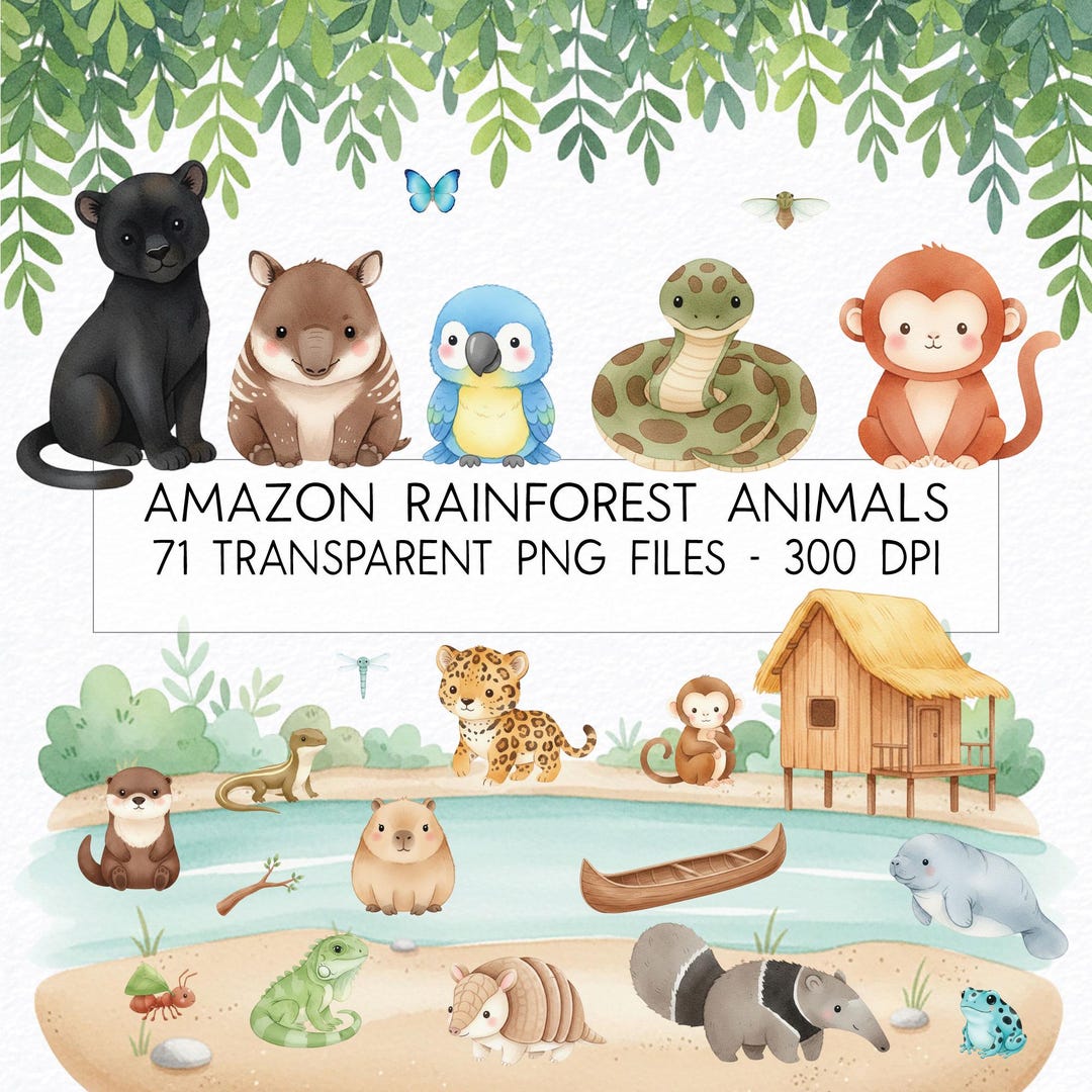 Amazon Rainforest Animals Watercolor Clipart Bundle (PNG) / Commercial ...
