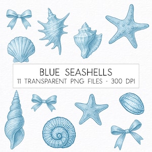 Muschel Clipart Bundle | Nautische Seestern Bögen digitaler Download | Weinlese-Ozean-Strand PNG