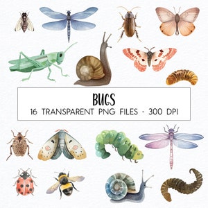Bugs clipartbundel / aquarel / hoge kwaliteit PNG / commercieel gebruik / bij / sprinkhaan / libel / worm / slak