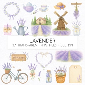 Lavendel Clipart Bundle / Aquarell / PNG in hoher Qualität / Kommerzielle Nutzung / Kinderzimmer Clipart