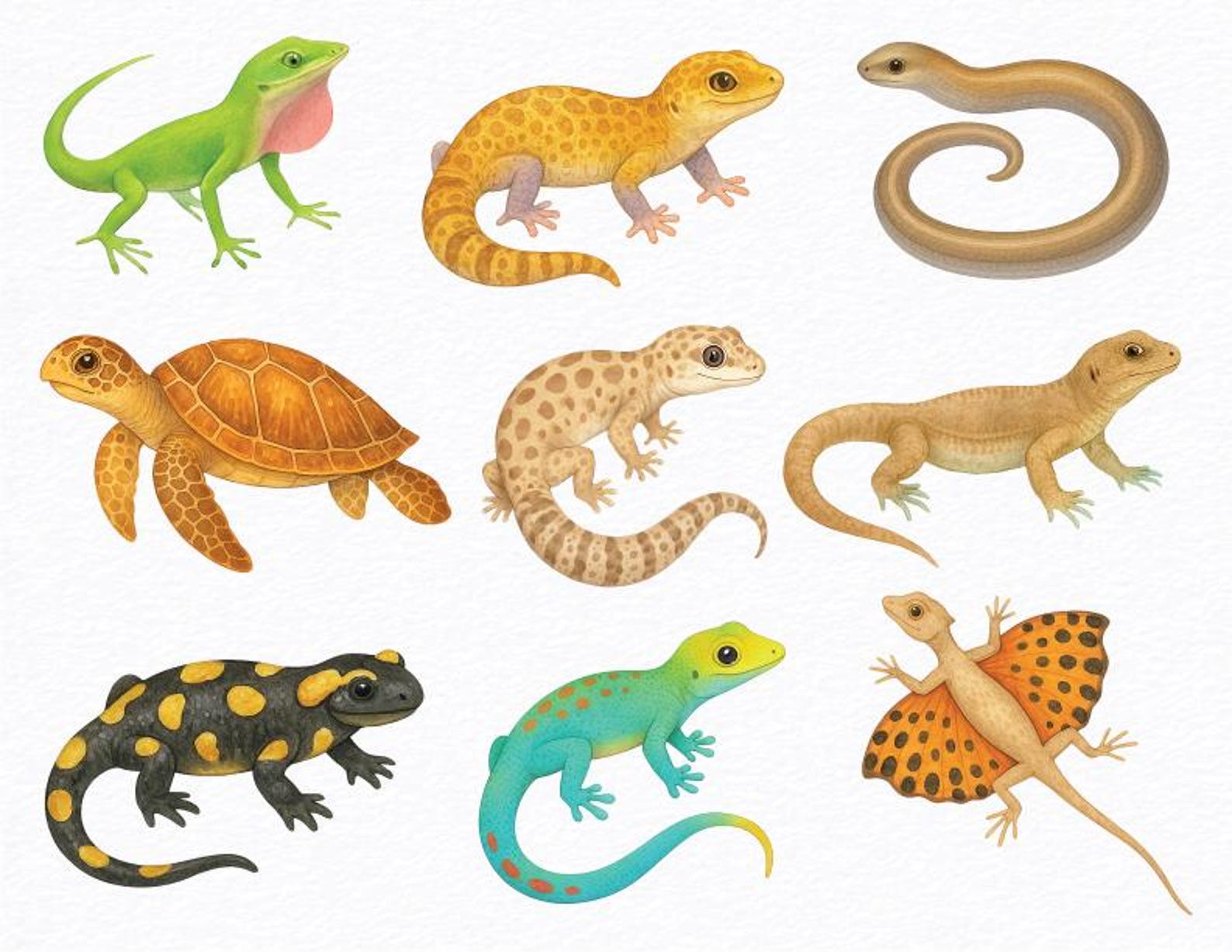 Reptiles Watercolor Clipart Bundle (PNG) - Etsy
