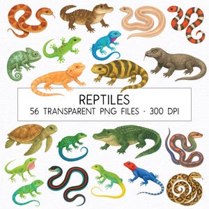 Reptiles Clipart Bundle / Watercolor / High Quality PNG / Commercial Use / Nursery Clipart