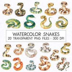 Pacote de clipart de cobras / aquarela / PNG de alta qualidade / uso comercial / clipart de berçário
